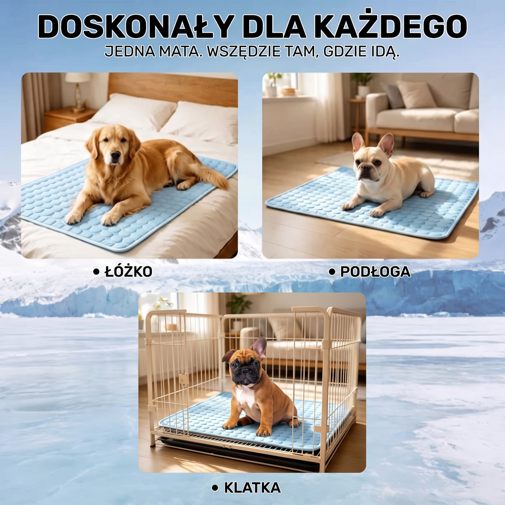 PawDry™ - Wodoodporna Mata Dla Psa