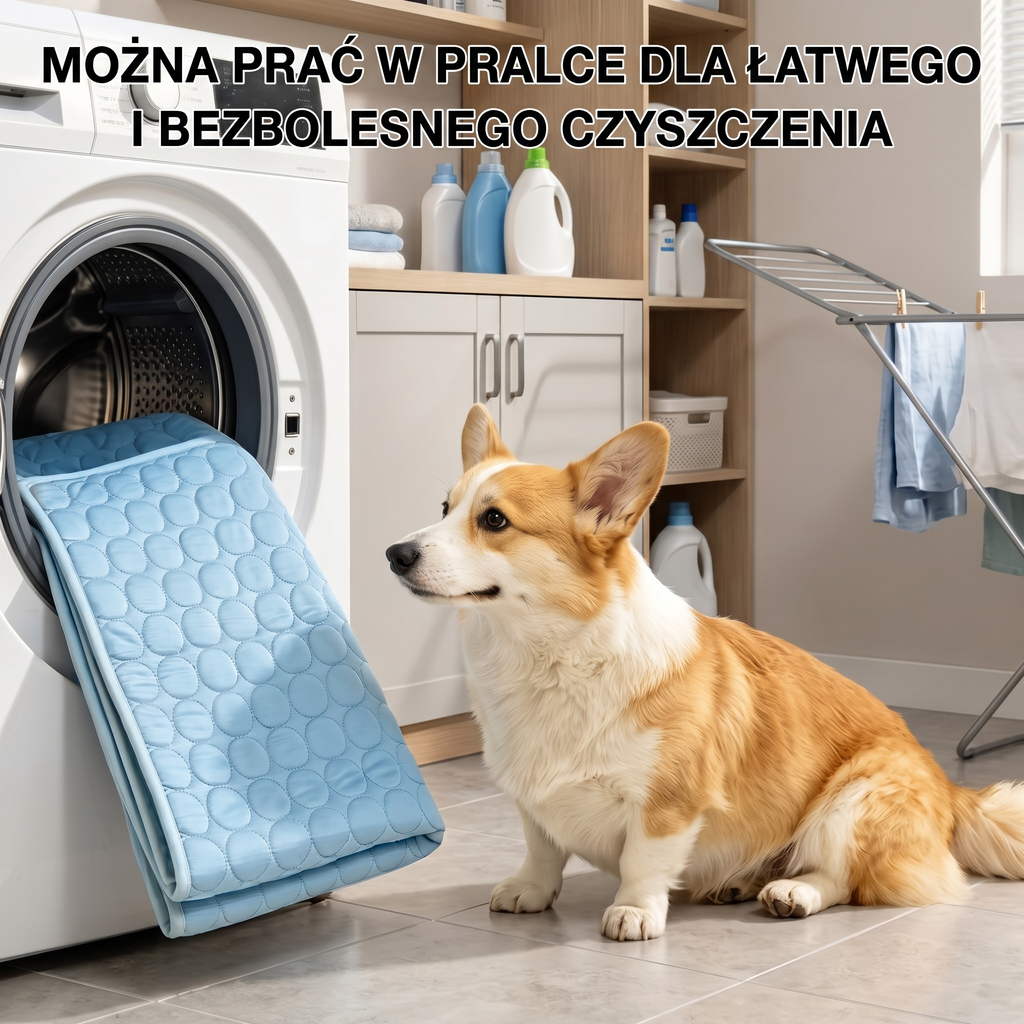 PawDry™ - Wodoodporna Mata Dla Psa